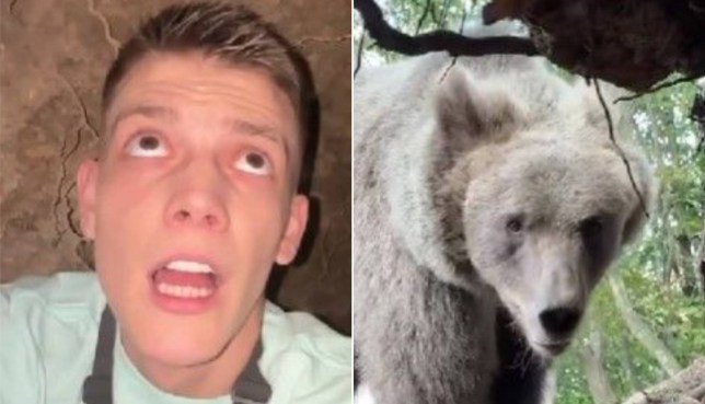 Instagram influencer Stefan Jankovich looking at the bear entering the bear cave