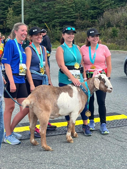 Four marathon runners pose for pictures with Joshua the goat after he crossed the finish line 