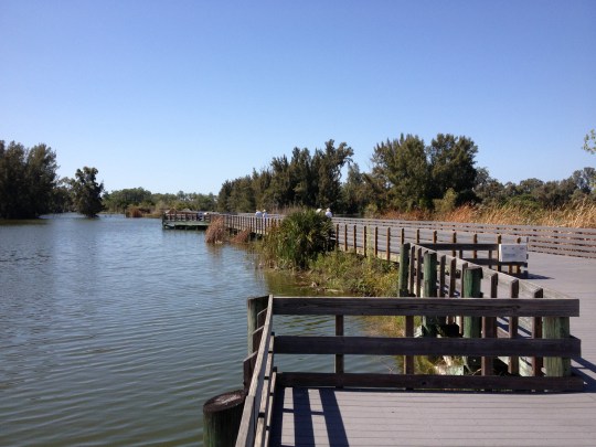 Lakes Park and boardwalk around it are pictured with people in the distance