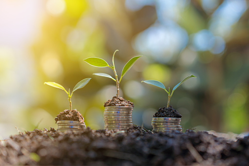 Money coins stack grow up to saving money.