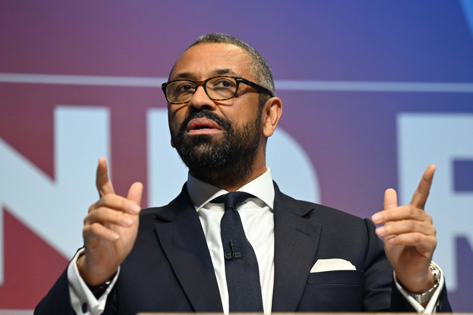 James Cleverly is gaining momentum in his bid to be the new Tory leader