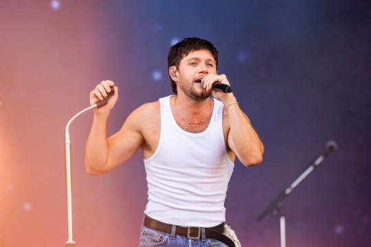 Niall Horan performs on day 1 of 2024 Superbloom Festival at Olympiapark on September 07, 2024 in Munich