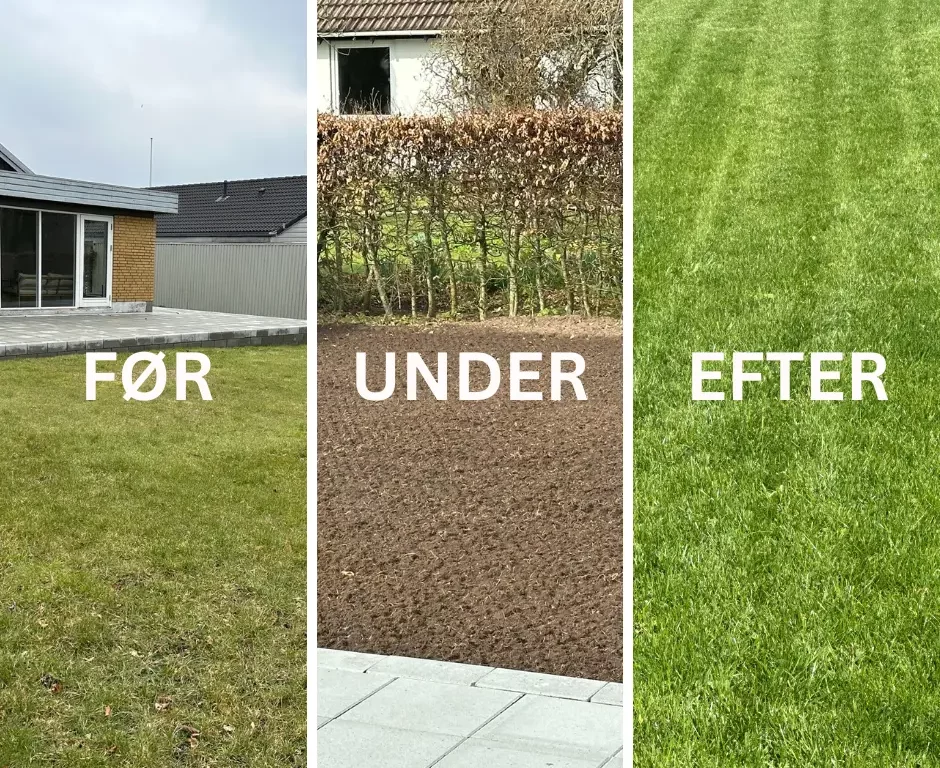 Før under og efter billede af en omlægning af eller anlægning af græsplæne.