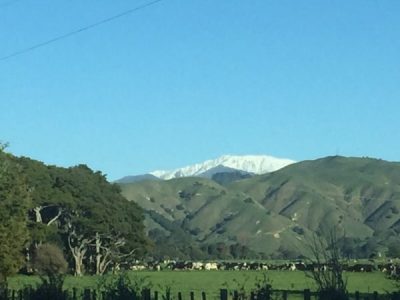 Classic Te Horo scene at foot of Tararua Range.  Backdrop to Sifu Shaw's new home north of Wellington.