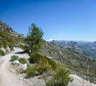 Mountain bike holidays Malaga