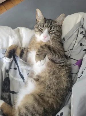 Bertha