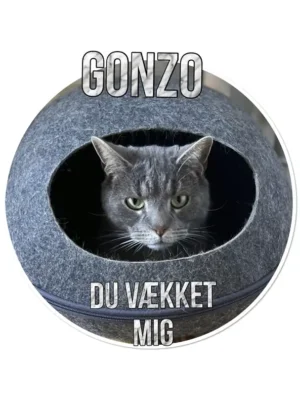 Gonzo