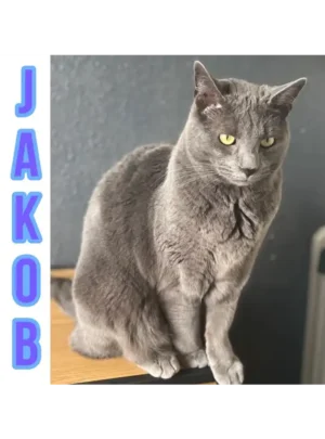 Jacob