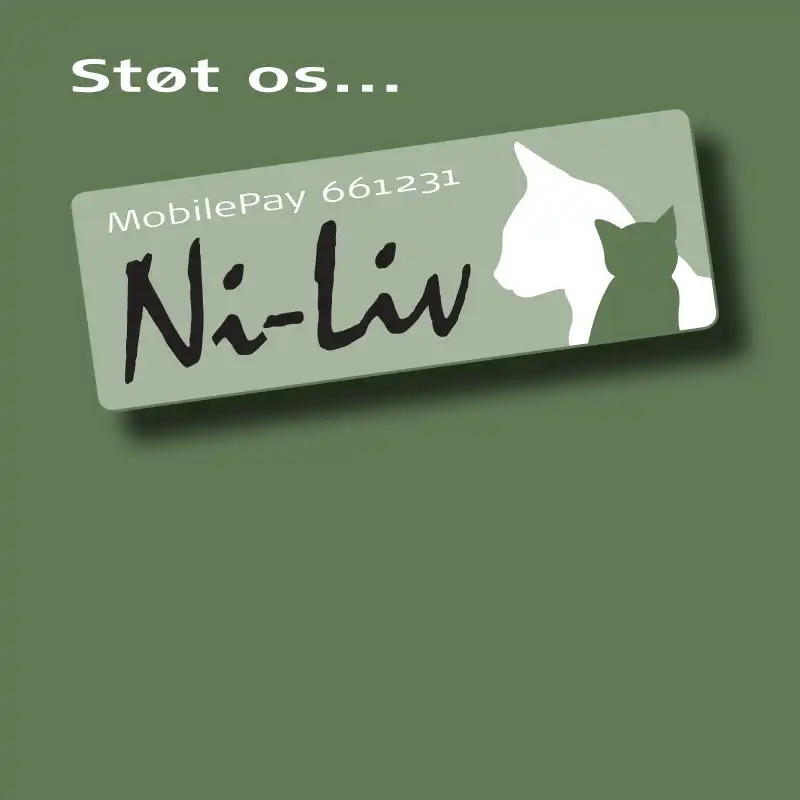NiLiv Skabelon Bokse Forside 800x800pixel StøtOs(1) Donation