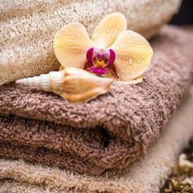 towels-with-orchid-less