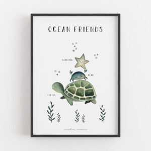 Ocean friends