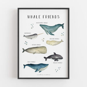 Whale friends