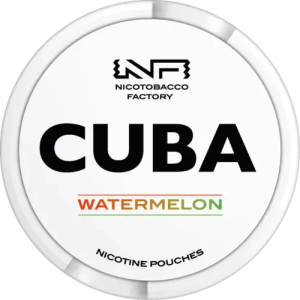 Cuba White Watermelon