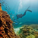 Great Barrier Reef