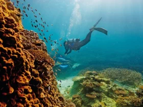 Great Barrier Reef