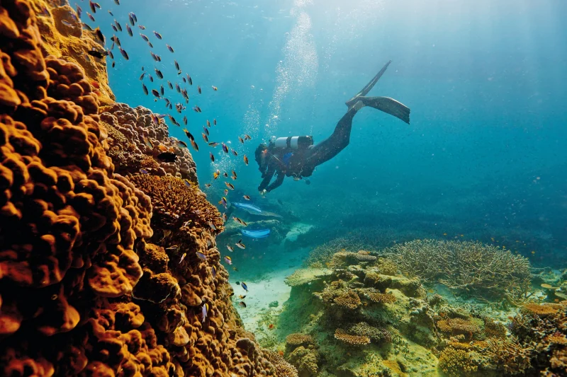 Great Barrier Reef