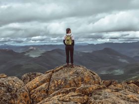 Vandring i Tasmanien