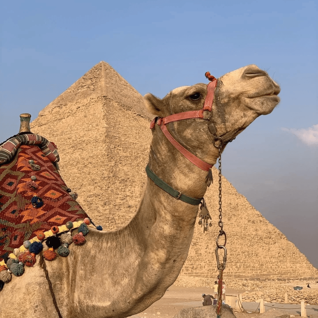 Cairo