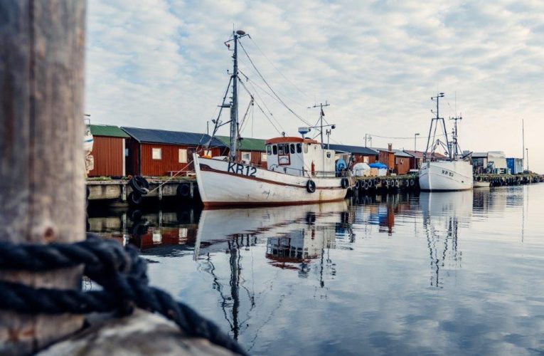 Auktioner på nätet