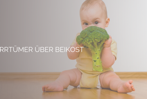 Irrtümer über Beikost