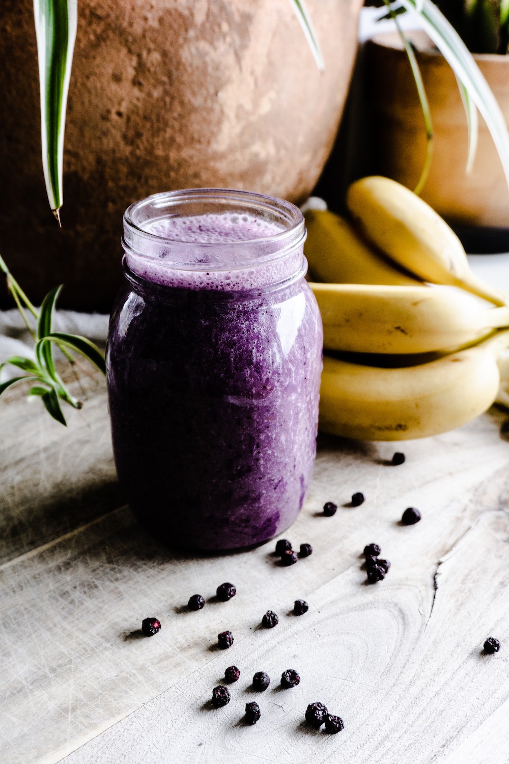 Dried Blueberry-Banana-Coconut Smoothie
