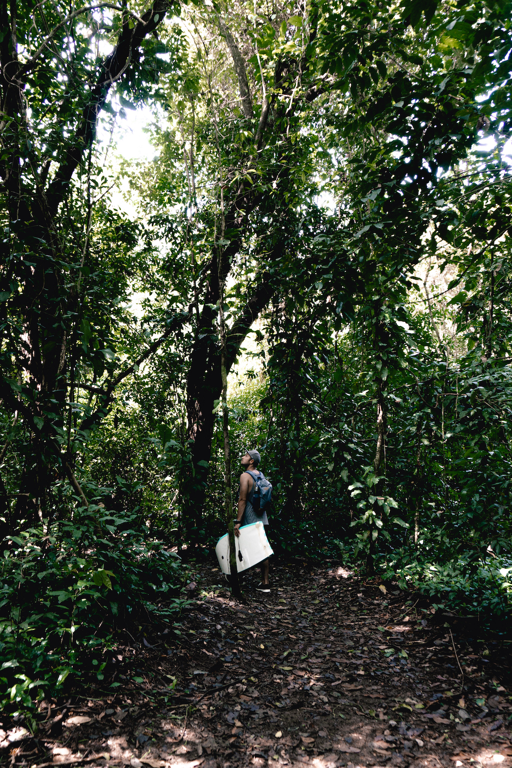 Eine Woche in Costa Rica - Wanderung Urwald Dominical 