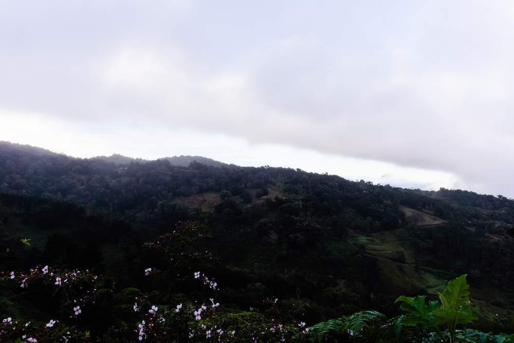 Eine Woche in Costa Rica - Dota Hochland 