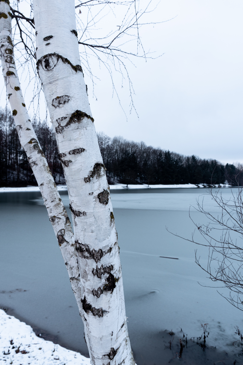 Dem Winter eine Chance geben