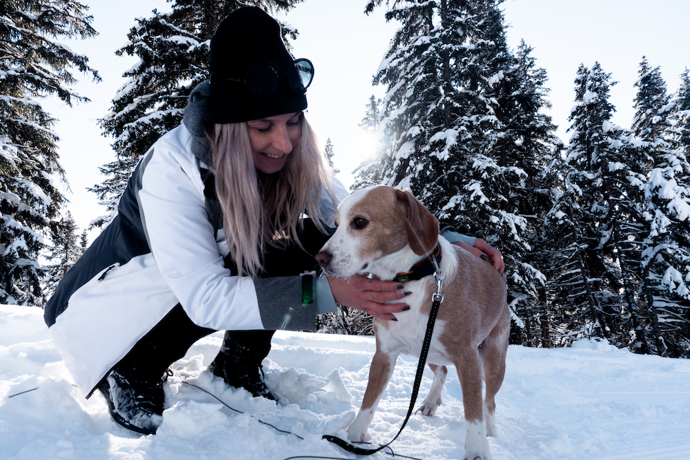 Wandern mit Hund im Schnee 