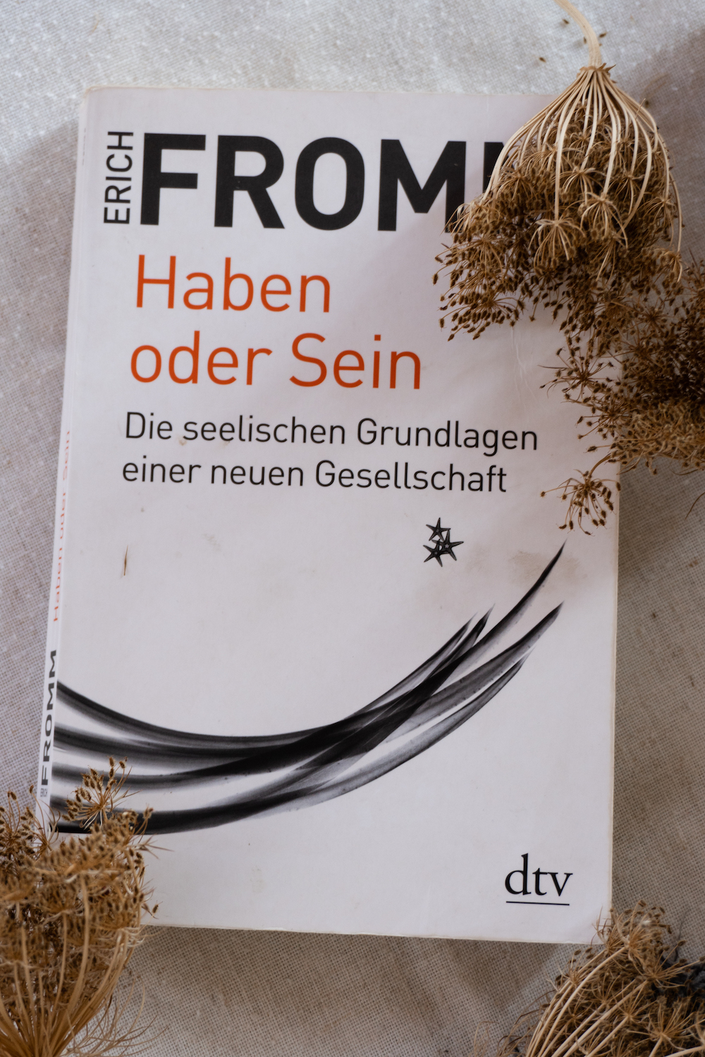 Haben oder Sein Erich Fromm Nina Flucher