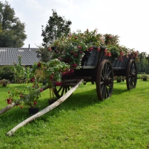 Vriendendag 2014 (103)