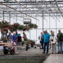 Vriendendag 2018-80 Wedstrijdplanten