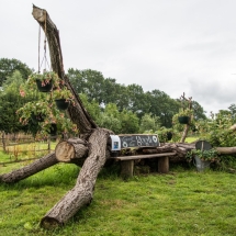 Vriendendag 2019-46