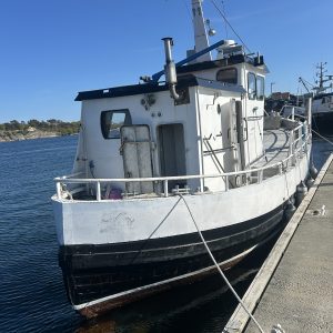 VÅR - Bilde 3