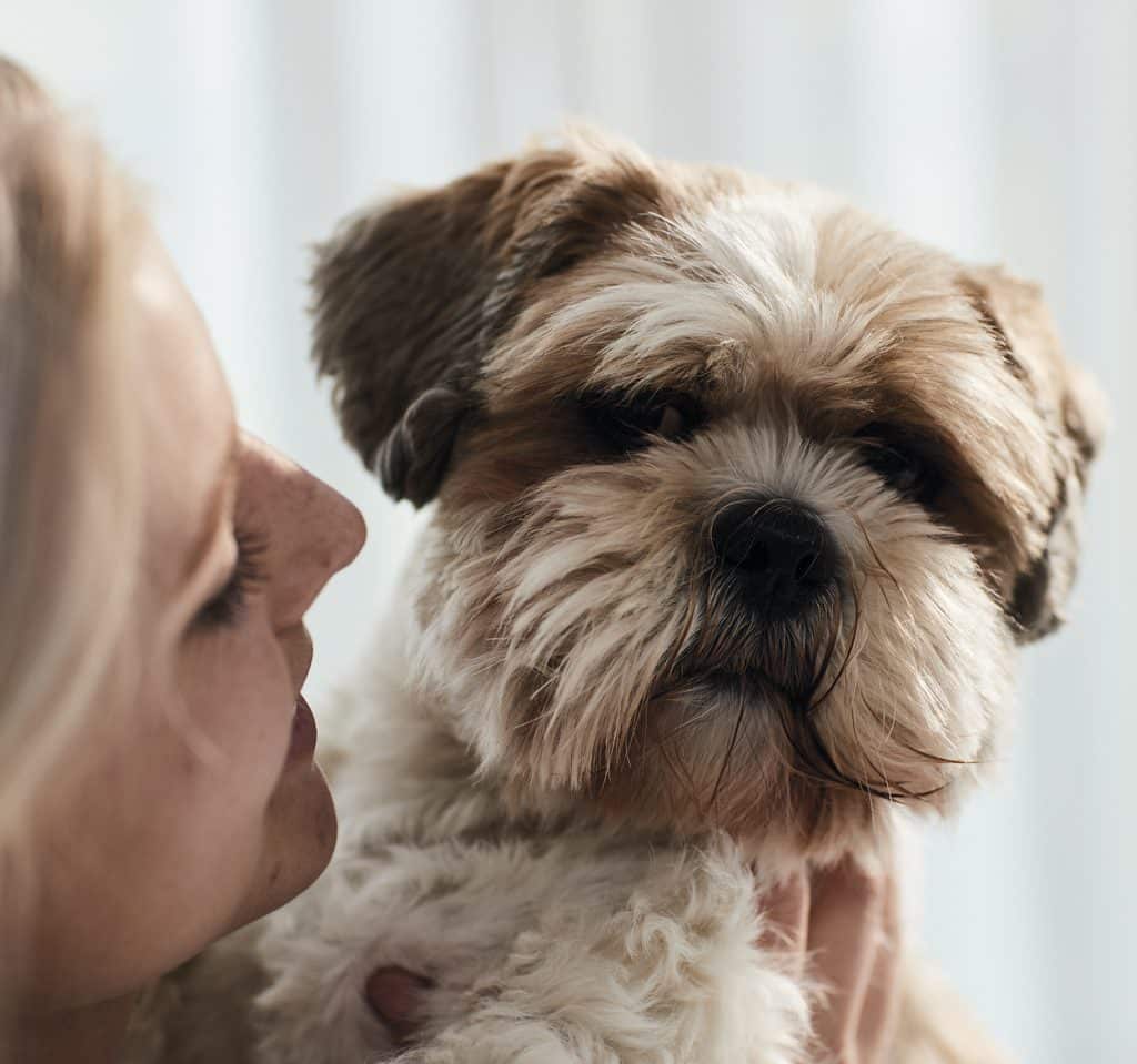 Informative Image with dog and girl