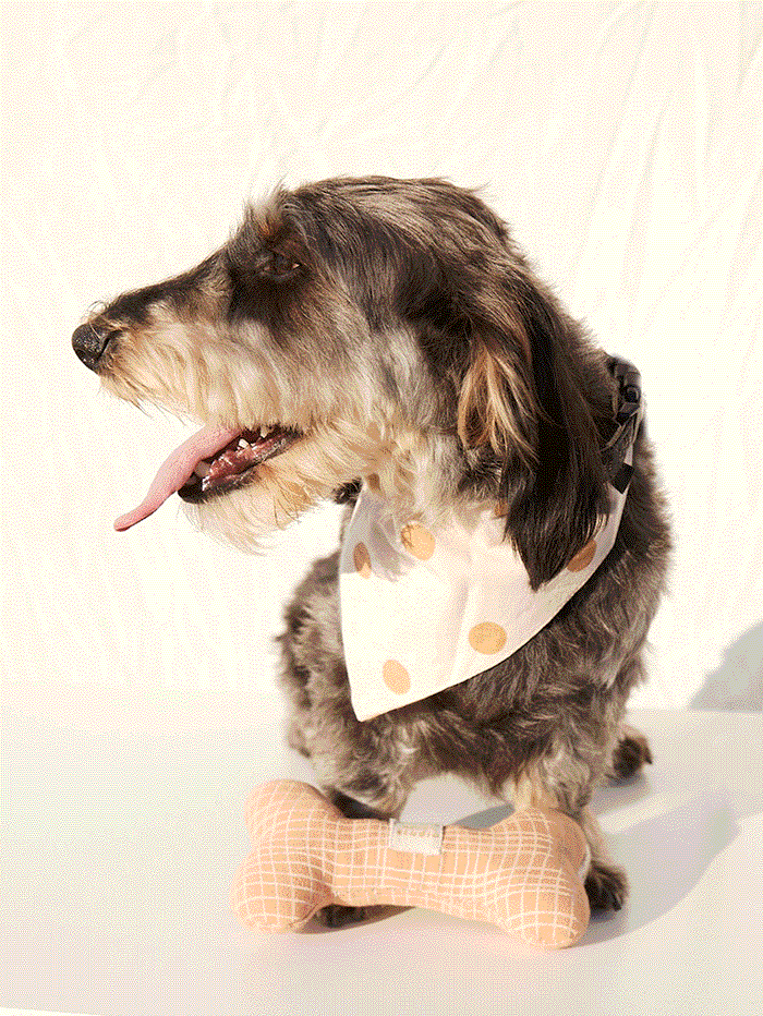 Dog Bone Check nocat studio