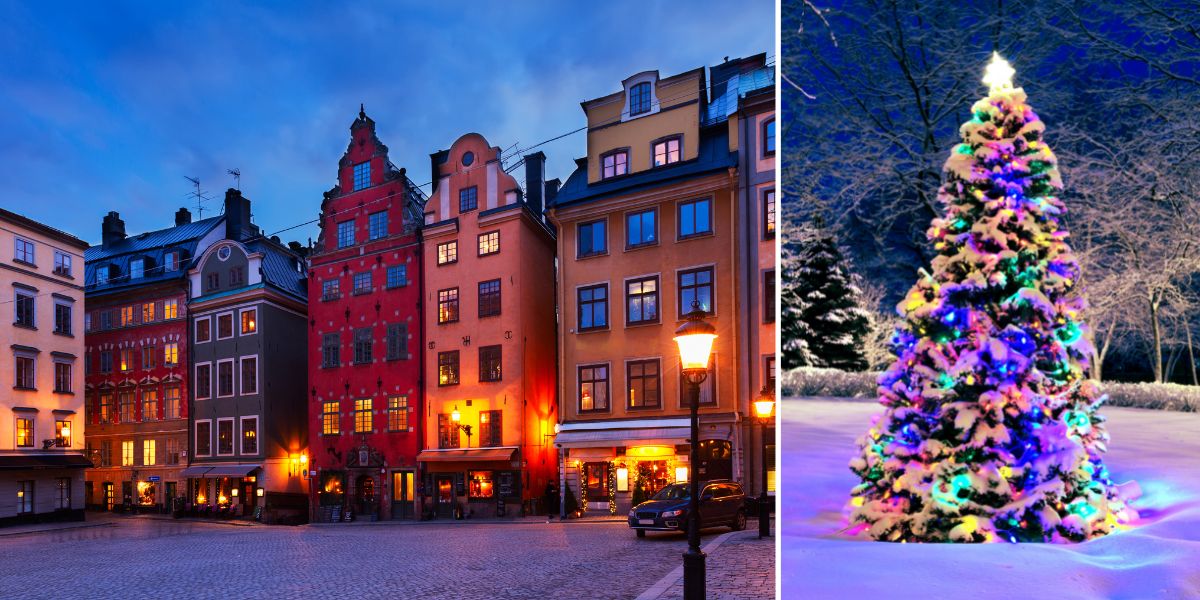 Man misshandlades med julgran Nongrata Man misshandlades med julgran Nongrata