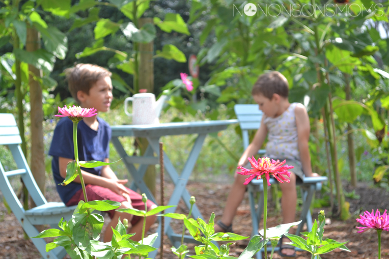 bloemenpluktuin baal ellemieke
