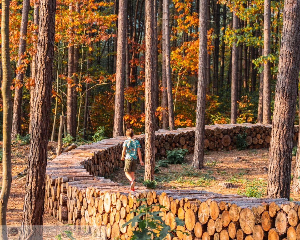 week van het bos - traag leven