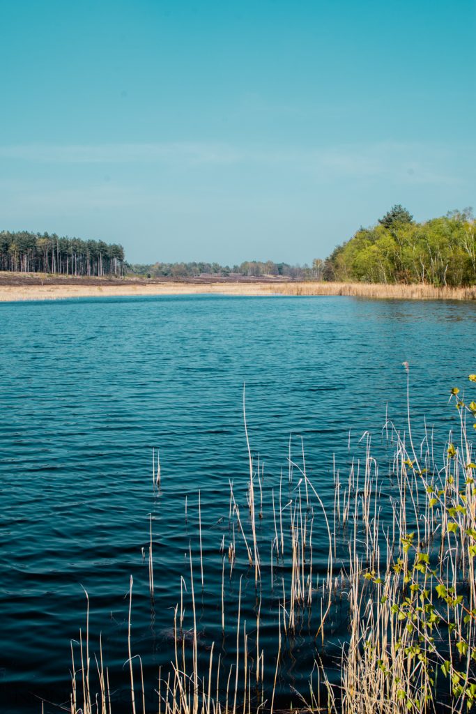 de teut zonhoven