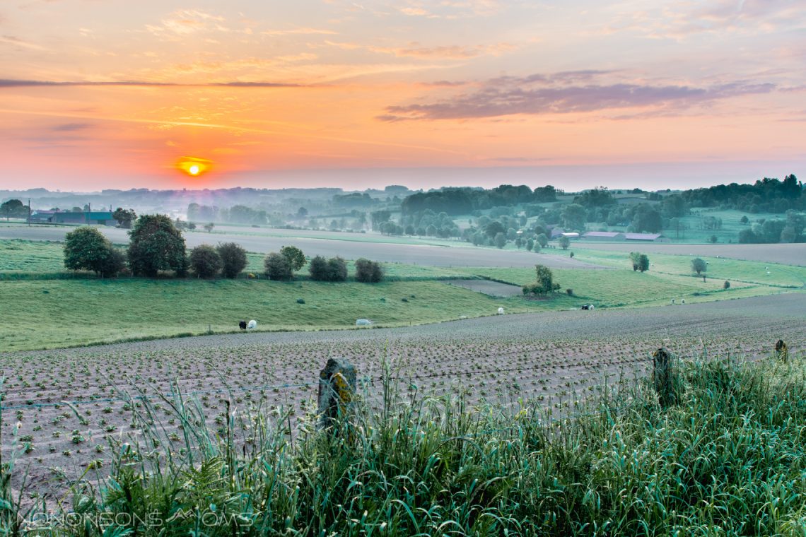 Workshop landschapsfotografie bij Bart Heirweg in de Vlaamse Ardennen