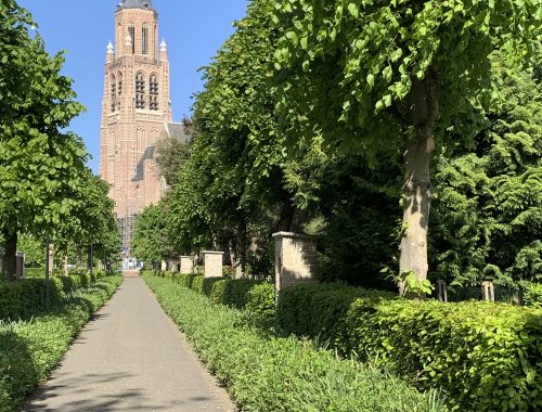 Sint-Katharinakerk Hoogstraten