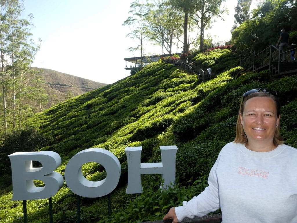 BOH Tea Centre