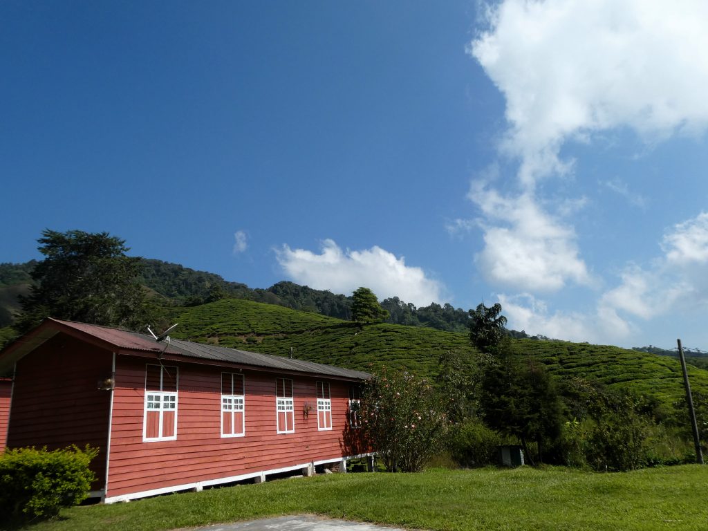 arbeiderswoningen BOH Tea Centre