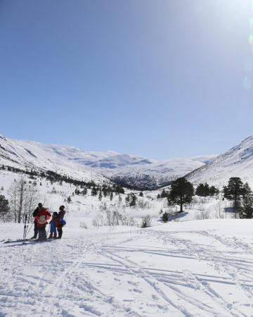 Skigåing