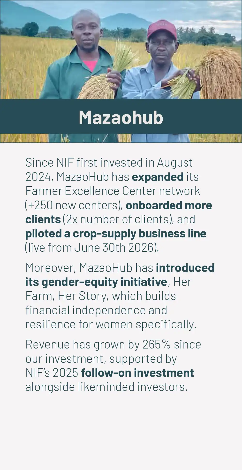 mazaohubb