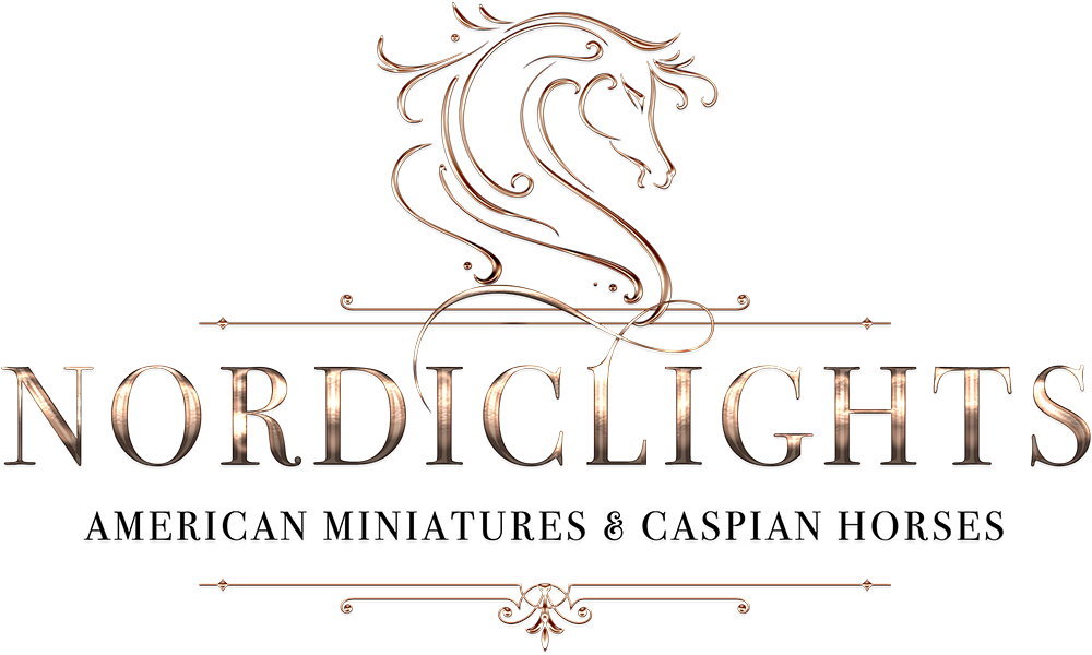 Nordiclights