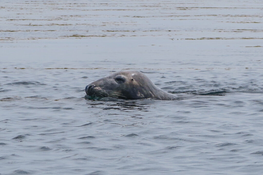 private kayak tour-The Fjord Kayaking - Kayak Trip Norway Kayak Lysefjord | Lysefjorden | Kajakk i Lysefjord