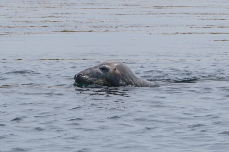 private kayak tour-The Fjord Kayaking - Kayak Trip Norway Kayak Lysefjord | Lysefjorden | Kajakk i Lysefjord