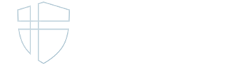 NSG logga vit